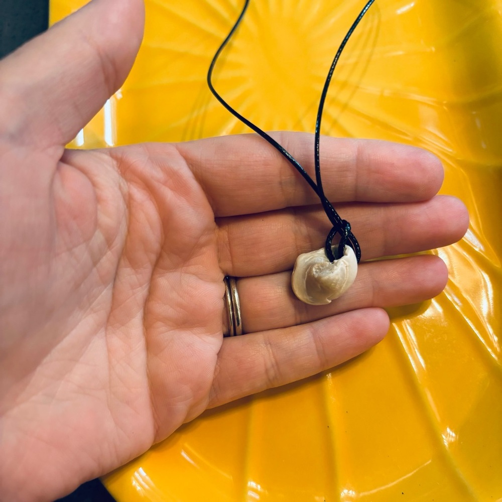 🆕 Carolina Sea Shell Swirly Choker Necklace - Picture 11 of 14